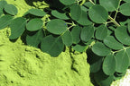 Organic Moringa Leaf Powder - 100% Natural Dietary Supplement