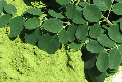 Organic Moringa Leaf Powder - 100% Natural Dietary Supplement
